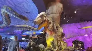 Is T-Rex Really Terrible?