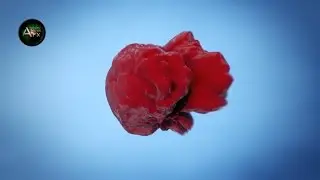 Cinema 4D - Object Deform Test