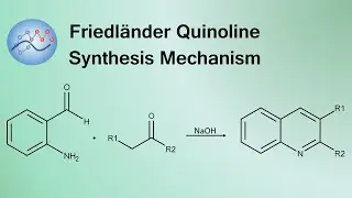 Friedländer Quinoline Synthesis Mechanism | Organic Chemistry