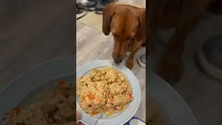 Рецепта не будет 