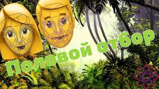 Половой отбор у человека. Критический разбор