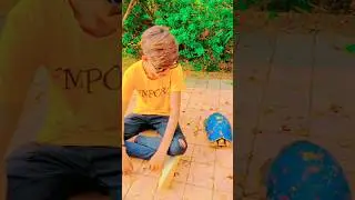 Photo shoot with turtle 🐢kachhue ke saath photo shoot😱 #shorts #youtubeshorts