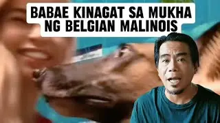 K9 Nangagat
