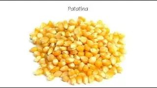 パタティーナ　Patatina