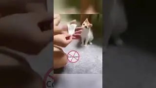 Funny stuff compilation 1