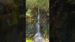 Glacier water