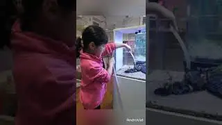 5 августа 2023 г.
