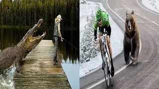 10 Unbelievable Animal Moments |Most Amazing Top 10 | Un Believable Animal Facts