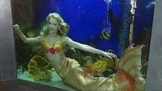 Claire la Sirène - Festival de Cannes / Mermaid Claire - Cannes Festival