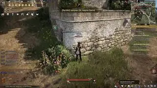 Black Desert