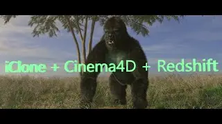 iC7 to C4D: 