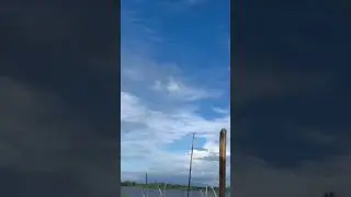 Viral video 😍