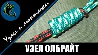 Лучший узел для привязывания двух лесок - олбрайт