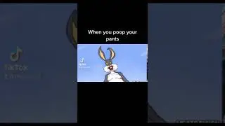 A little meme I made on tiktok