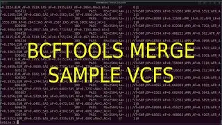Bcftools Merge Individual VCF files VCF files