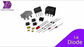 Comment fonctionne les diodes 🤔?
