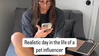 another realistic day in the life of a pet influencer ￼