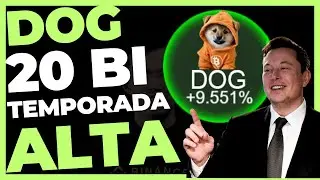 DOG GO TO THE MOON 20 BILHÕES É UM ALVO