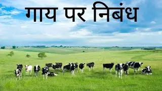 Essay on cow in hindi|essay on cow in 10 lines|full description|ESSAY LIBRARY|EDU WIZARD