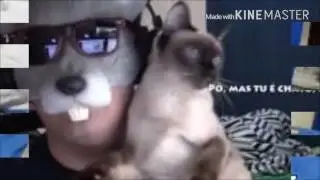 NINHA , UMA GATA ESPECIAL