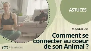 Comment se connecter au Coeur de son Animal ? (Méditation guidée)