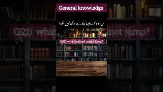 general knowledge|general knowledge question and answer|general knowledge solved answers #viralreels