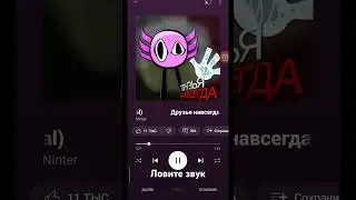20 июня 2024 г.