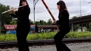 Duo Almira (Flute and Bassoon cover) The Entertainer