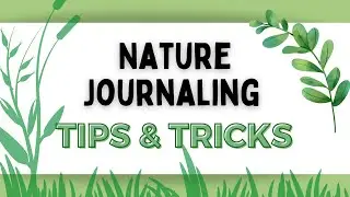 NATURE JOURNALING *TIPS & TRICKS* for scientific, creative, and personal discovery.