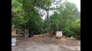 The Crosses