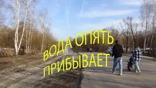 Половодье 2024: 31. 03