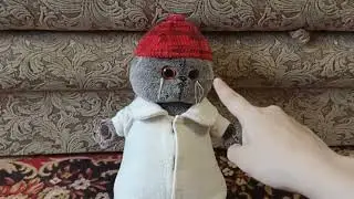 Басик🐱🐈