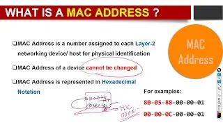 What is a MAC Address?