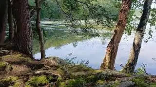 Brindle Pond