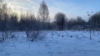 ОХОТА НА ЗАЙЦА ЗИМОЙ