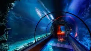 The floating underwater tunnel