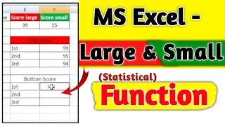 How To Use Small & Large function in Excel | Excel Statistical Function | Large and Small Functions