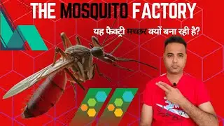 क्यों मच्छर बना रही ये कंपनी | The Mosquito Factory #2024 #mosquito