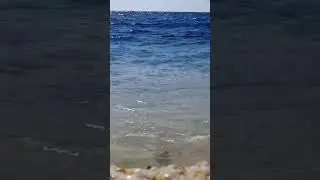 Аланья