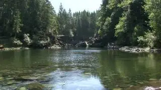 Voices of the River - Trailer