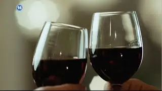 סוף שבוע המלצת השף ביס 1