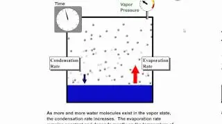 Vapor Pressure, Equilibrium Vapor Pressure, and Relative Humidity