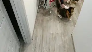 Стёп, ты поаккуратней