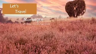 Let's Travel - Norwegen | Auf dem Weg in den Norden - Stopp in der Lüneburger Heide