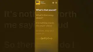 Need 2 Sped Up - Pinegrove