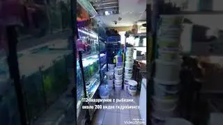 11 июня 2022 г.