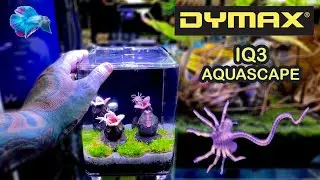 THIS NANO TANK IS AWESOME! DYMAX IQ3 Unbox & Scape Pauls Aquariums