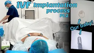 My IVF Journey: Implantation Process VLOG (Pt. 2) | Lisa Fiitt