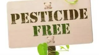 Bed Bug Heat Treatment Toronto