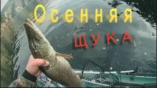 Осенняя щука 2016 Волшебная вертушка...щука в шоке! Mepps Lusox